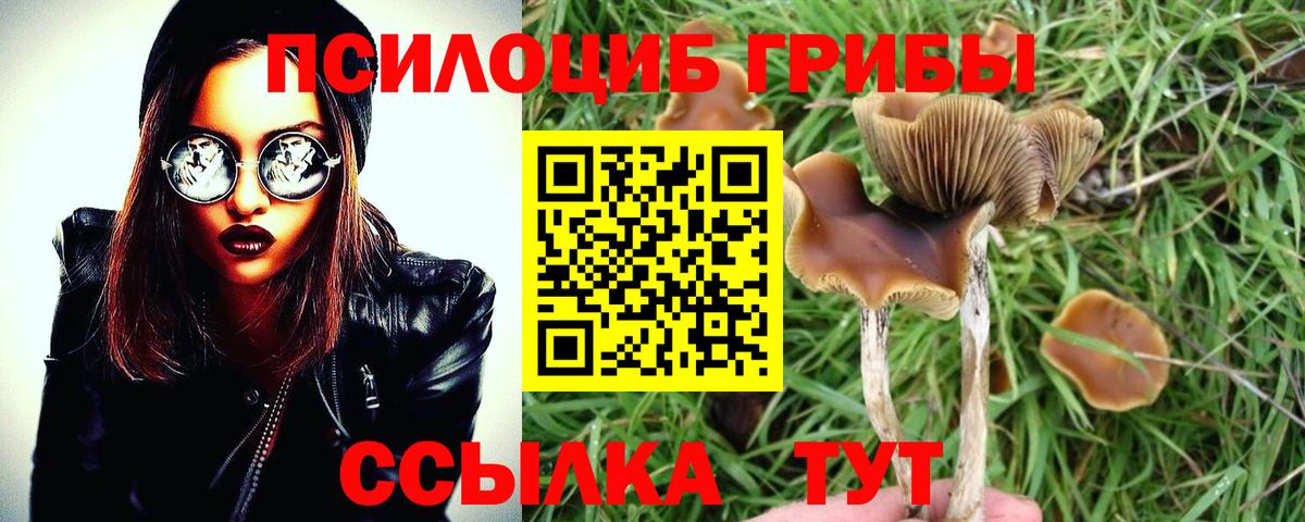 Симферополь  Псилоцибиновые грибы мицелий  Псилоцибиновые грибы Psilocybine cubensis  Вход с VPN 